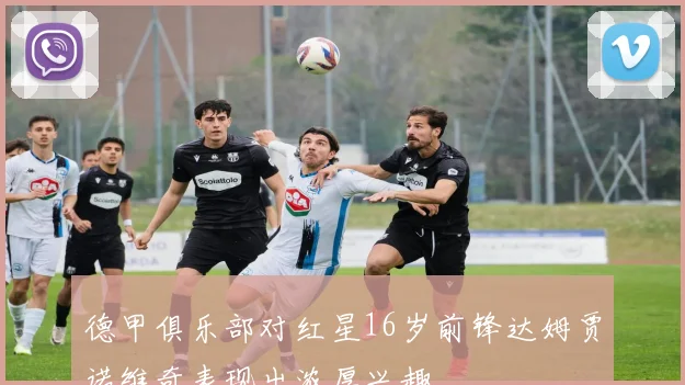 德甲俱乐部对红星16岁前锋达姆贾诺维奇表现出浓厚兴趣