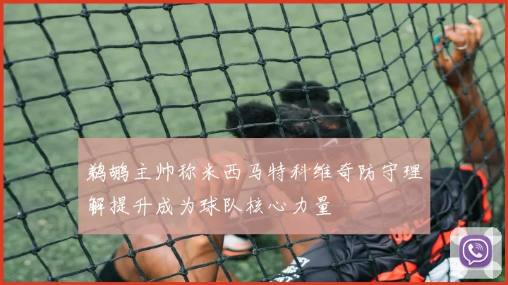 鹈鹕主帅称米西马特科维奇防守理解提升成为球队核心力量