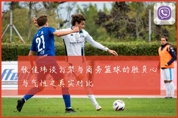 张佳玮谈打架与商务篮球的胜负心与气性之真实对比