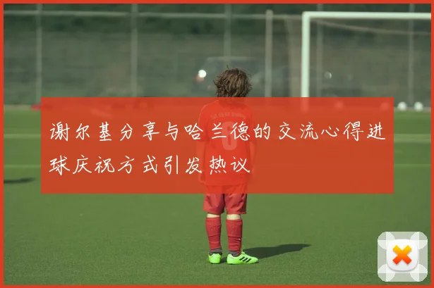 谢尔基分享与哈兰德的交流心得进球庆祝方式引发热议