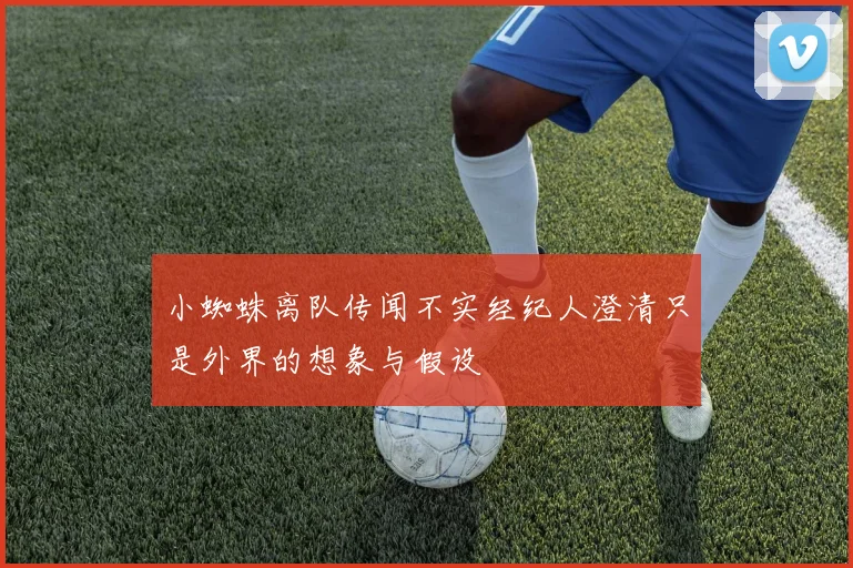 小蜘蛛离队传闻不实经纪人澄清只是外界的想象与假设